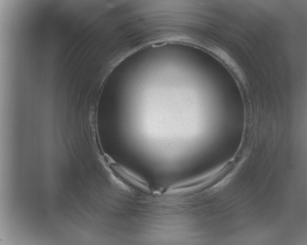 X0000069791001200605261652