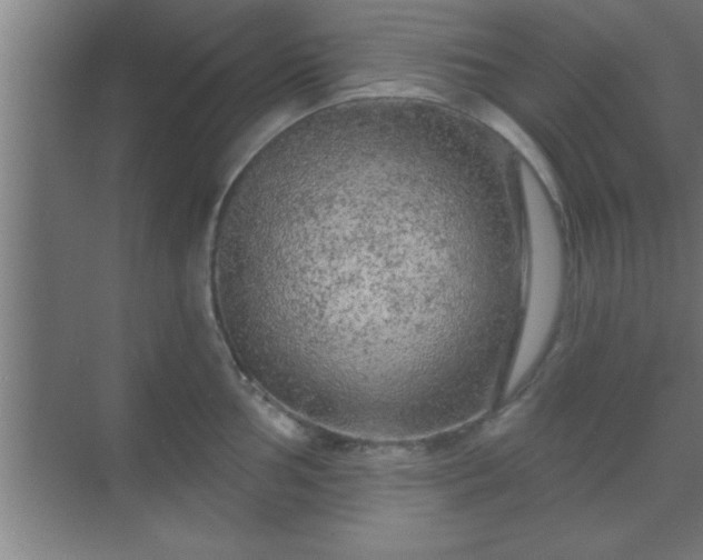 X0000069791002200605261652