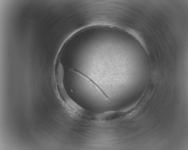 X0000069791004200605261652