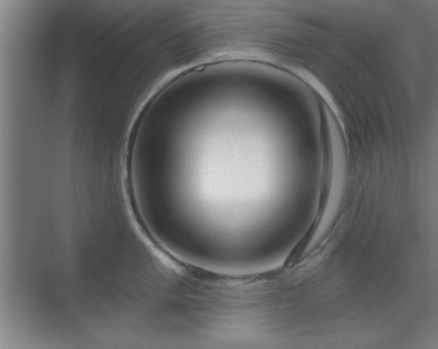 X0000069791005200605261652