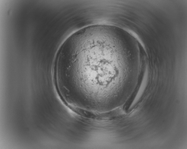 X0000069791007200605261652