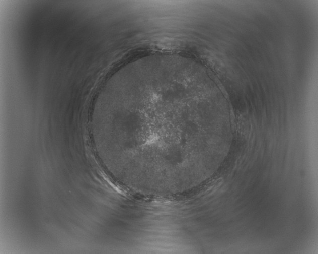 X0000069791009200605261651