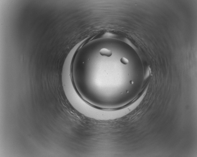 X0000069791010200605261651