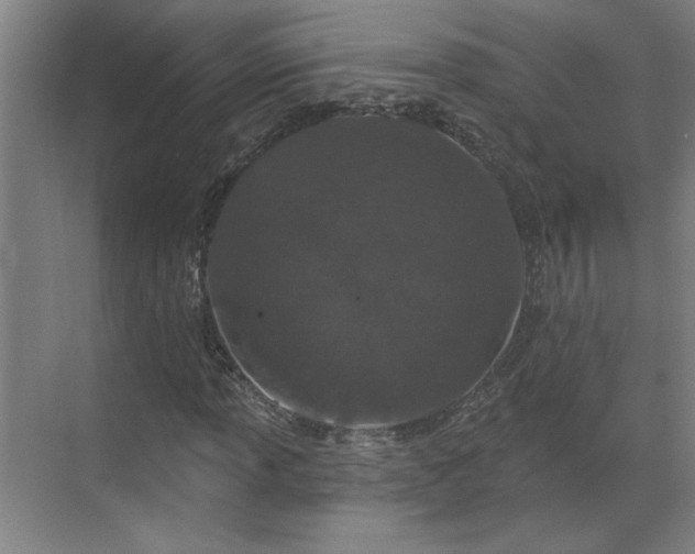 X0000069791013200605261651