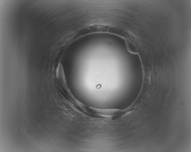 X0000069791014200605261651