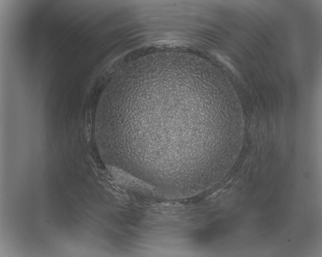 X0000069791015200605261651