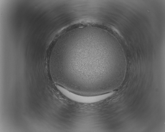 X0000069791016200605261651