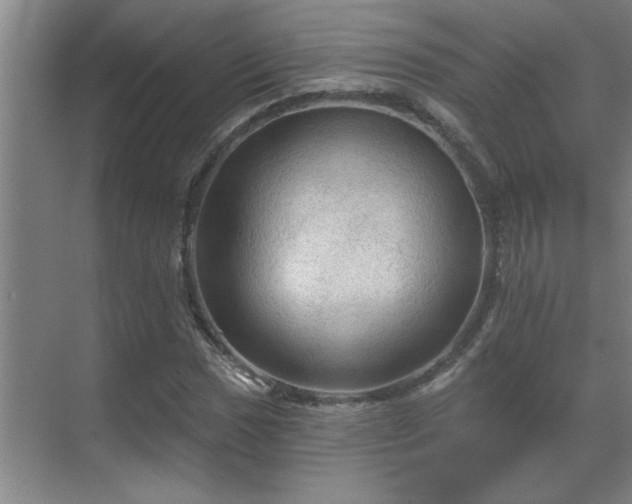 X0000069791017200605261651