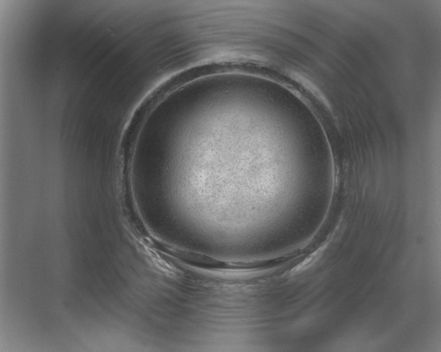 X0000069791021200605261651