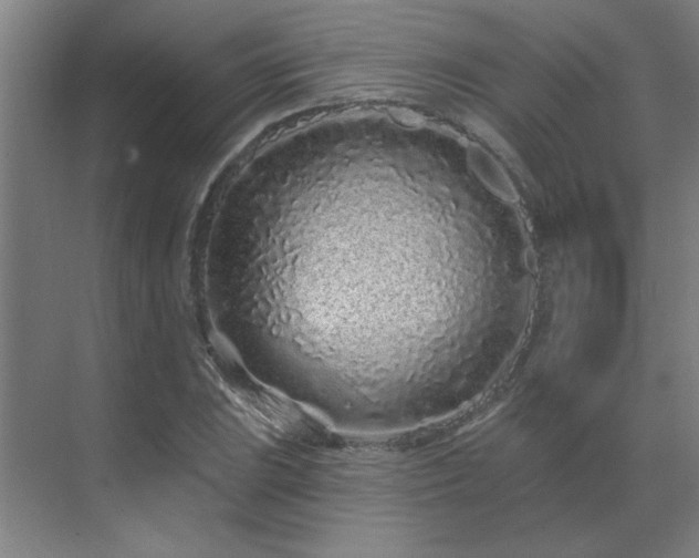 X0000069791023200605261651