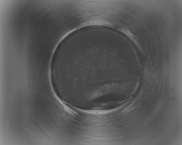 X0000069791024200605261651