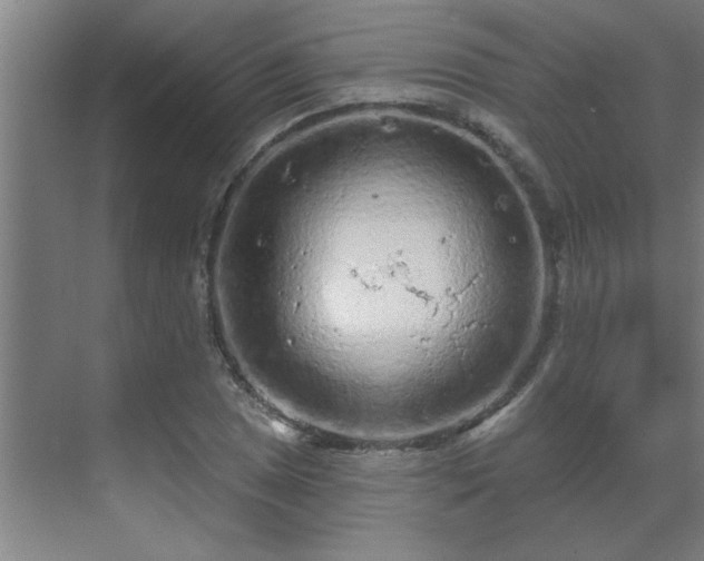 X0000069791025200605261651