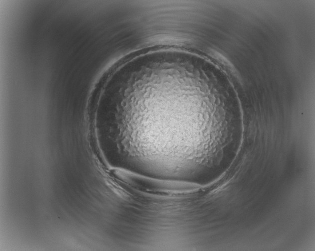 X0000069791027200605261651