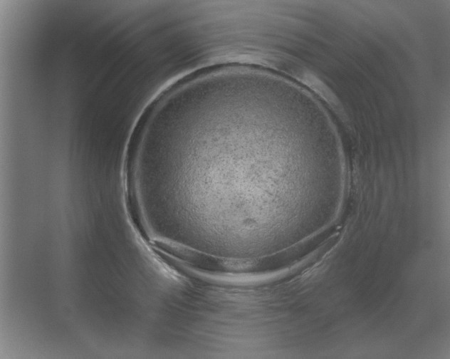 X0000069791028200605261651