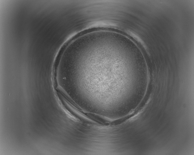 X0000069791029200605261651