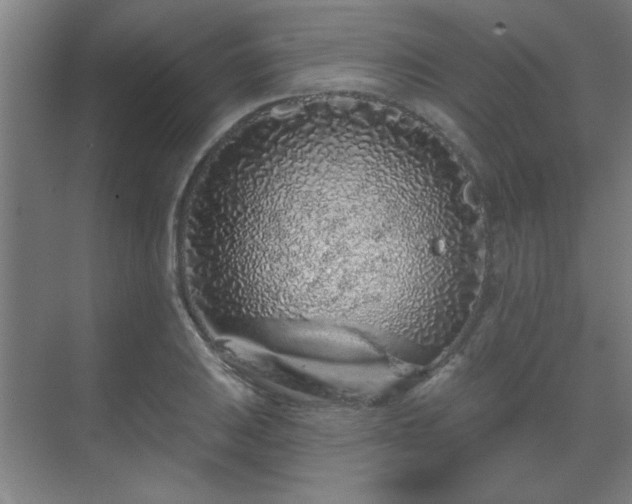 X0000069791031200605261651