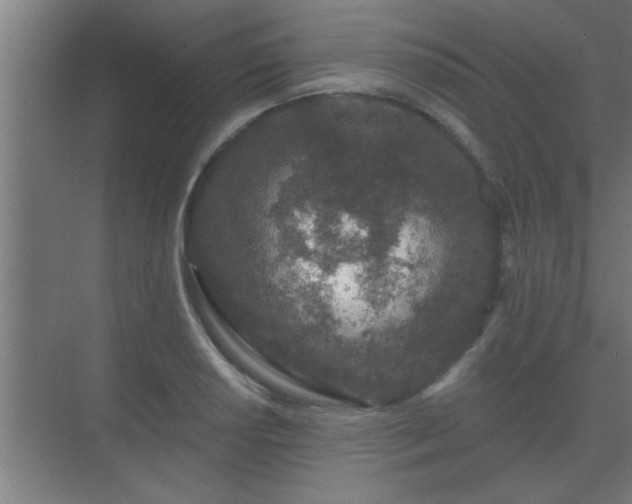 X0000069791034200605261651