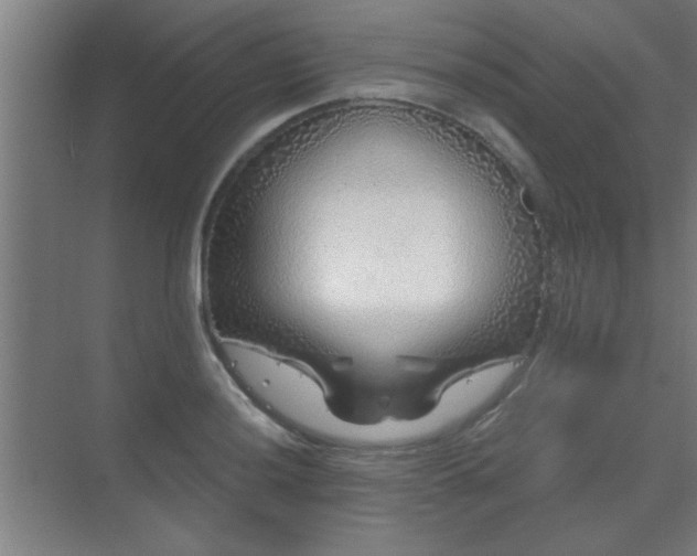 X0000069791036200605261651