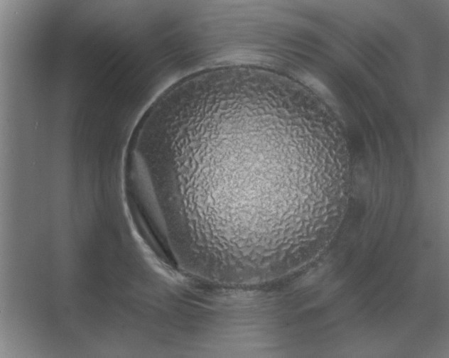 X0000069791039200605261651