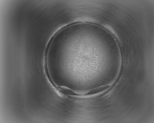 X0000069791040200605261651