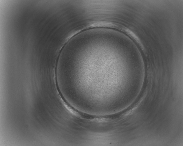 X0000069791041200605261651