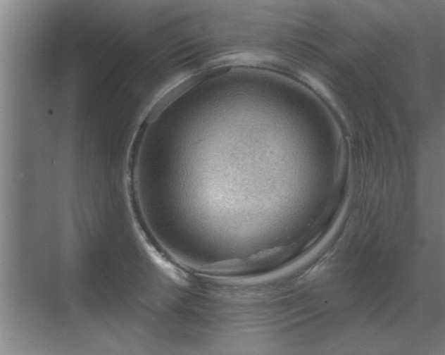 X0000069791042200605261651