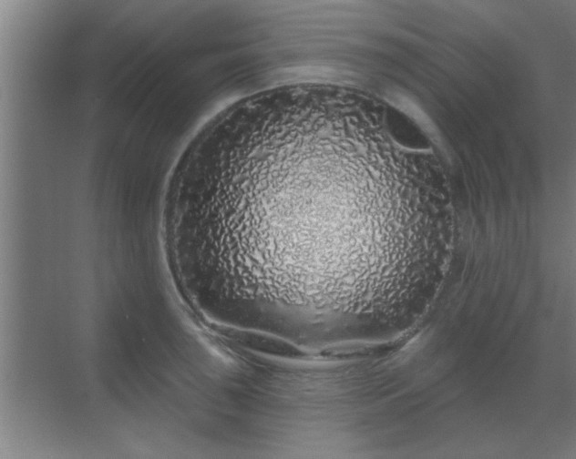 X0000069791043200605261651