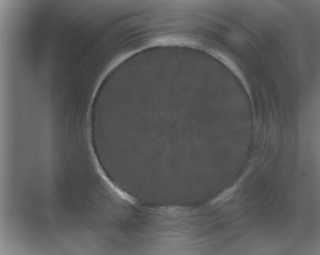 X0000069791045200605261651