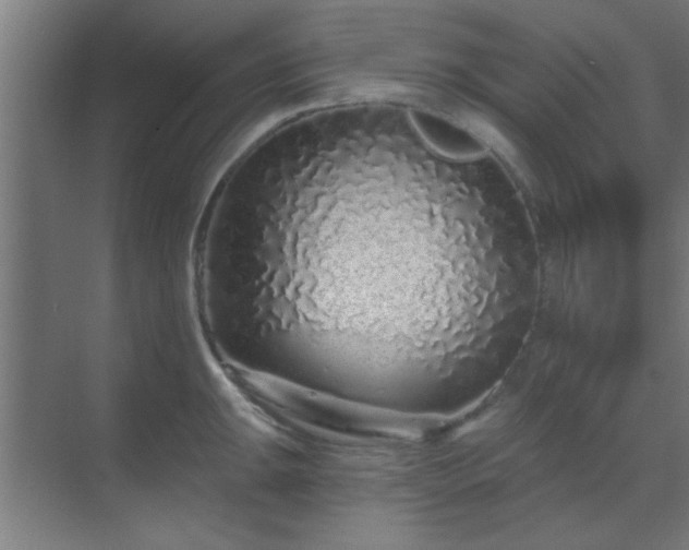 X0000069791047200605261652