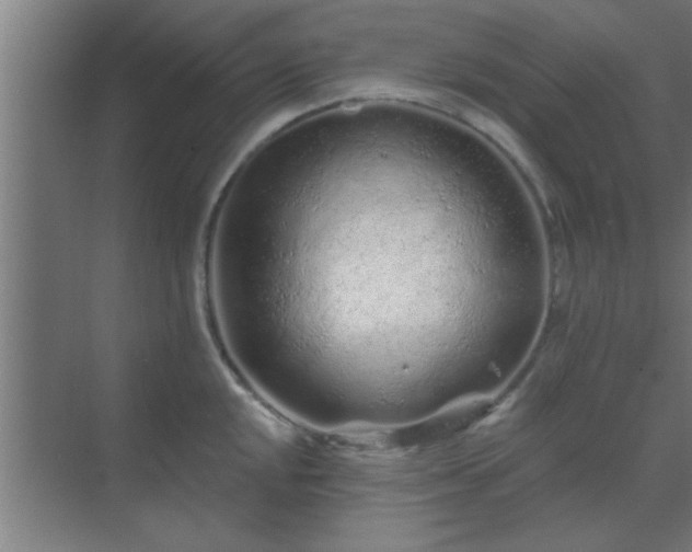 X0000069791048200605261652