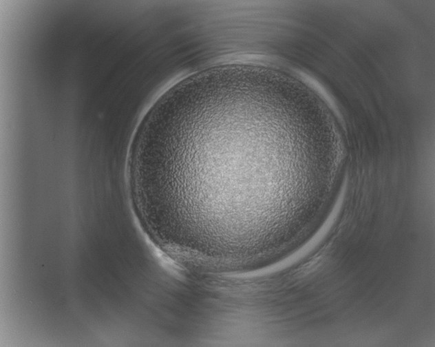 X0000069791050200605261652