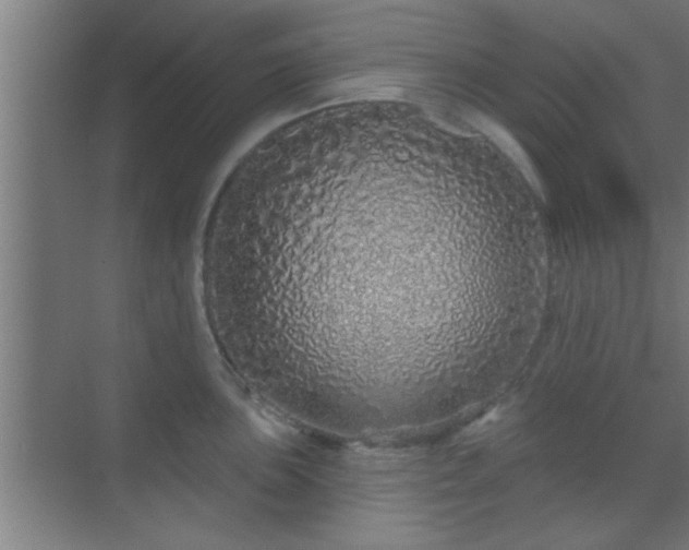 X0000069791051200605261652