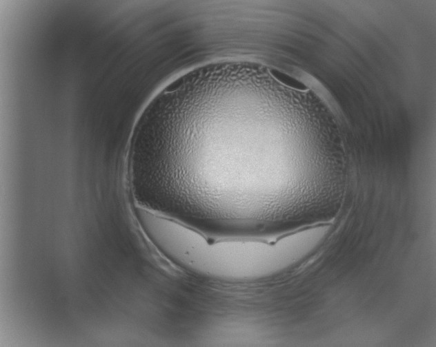 X0000069791052200605261652