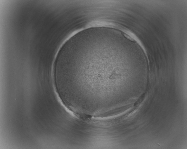 X0000069791053200605261652