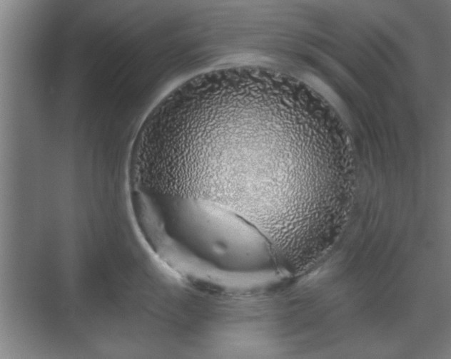 X0000069791055200605261652