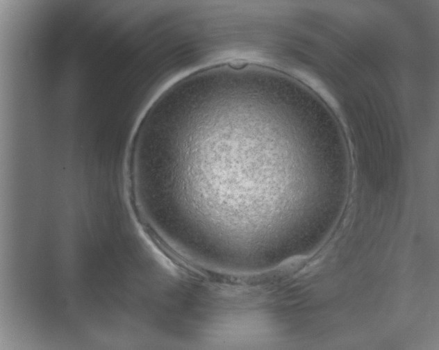 X0000069791056200605261652