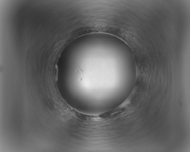 X0000069791057200605261651