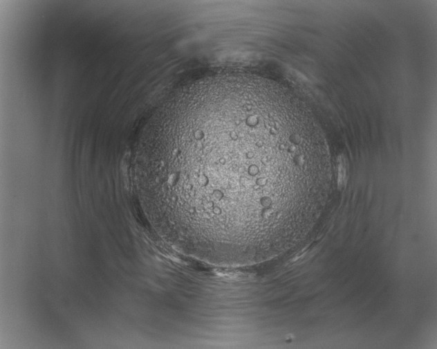 X0000069791059200605261651