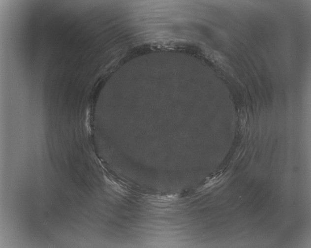 X0000069791060200605261651