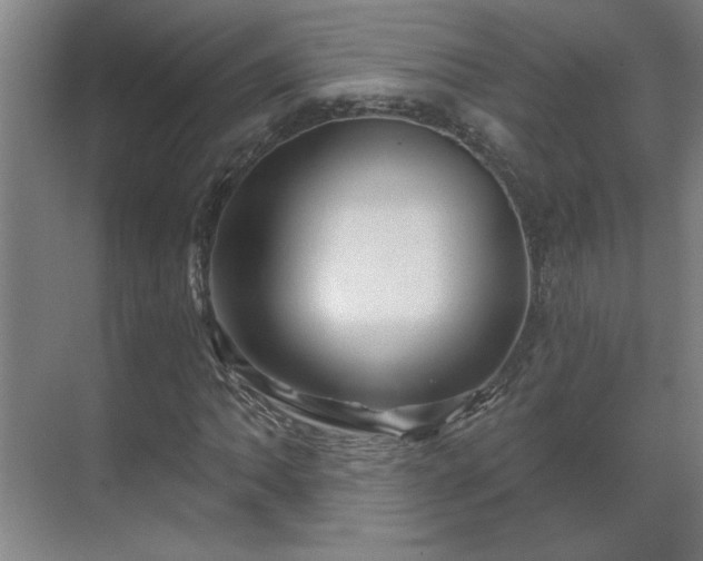 X0000069791062200605261651