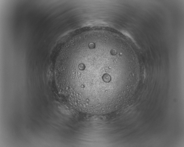 X0000069791063200605261651