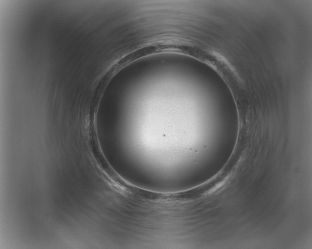 X0000069791065200605261651