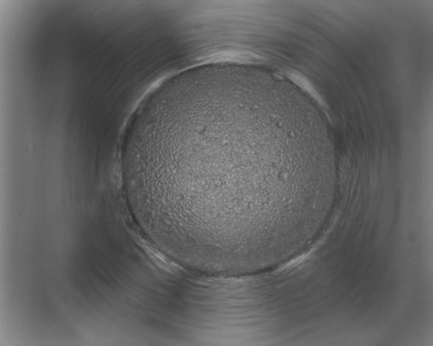 X0000069791067200605261651