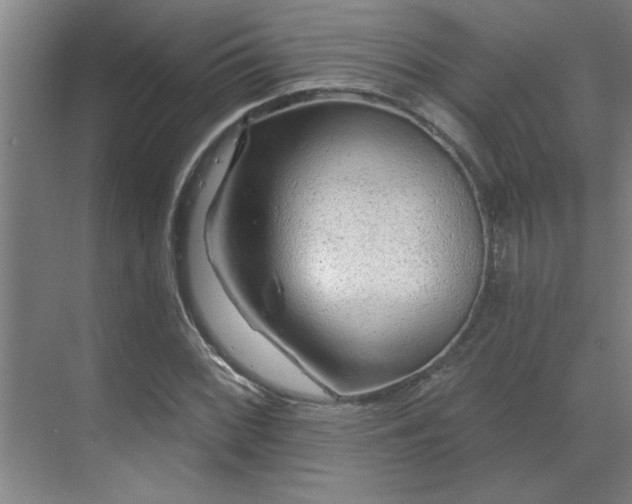 X0000069791068200605261651