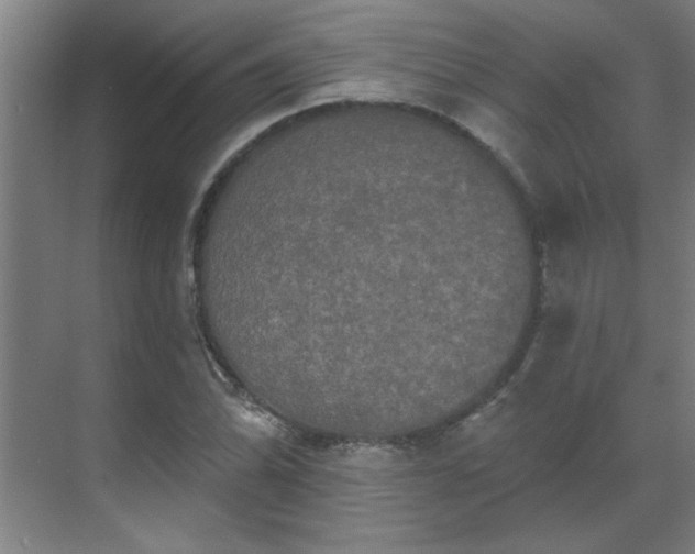 X0000069791070200605261651