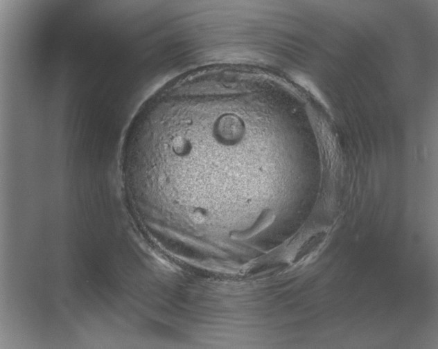 X0000069791071200605261651