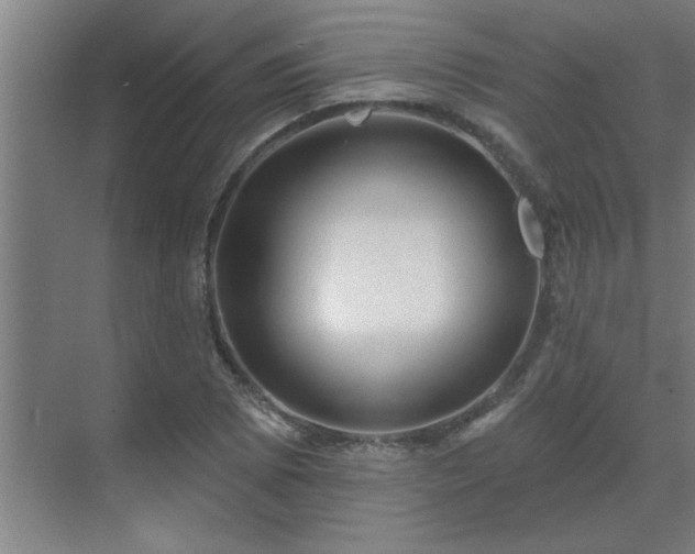 X0000069791073200605261651