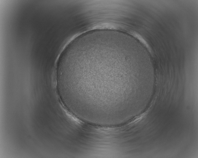 X0000069791075200605261651