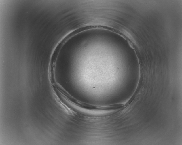 X0000069791076200605261651