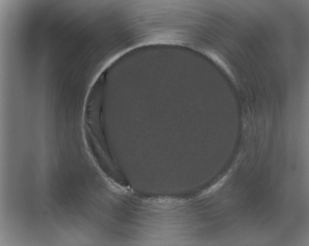 X0000069791077200605261651